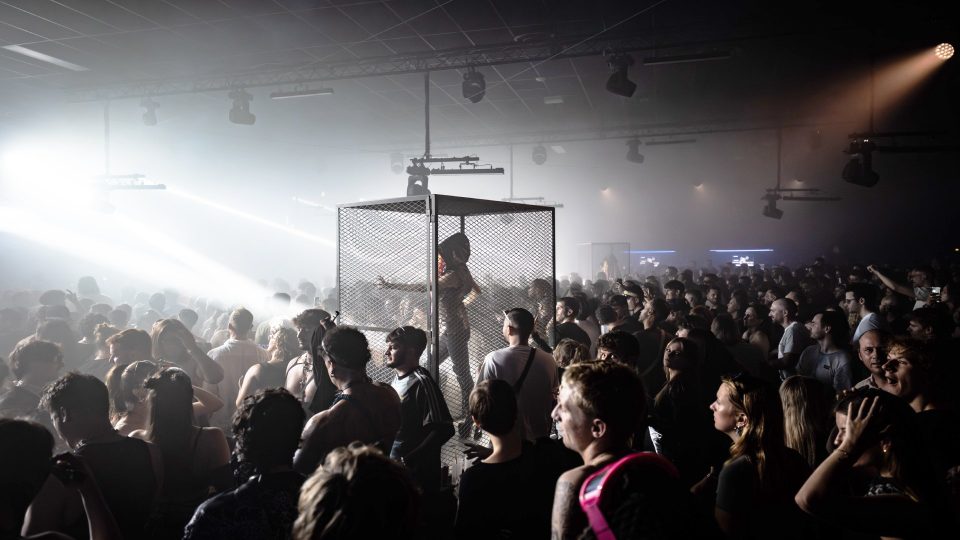 Article sur KODZ - Electro News